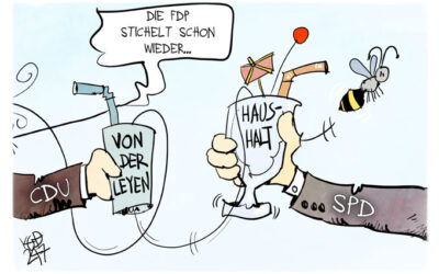 Die FDP stichelt gegen die CDU